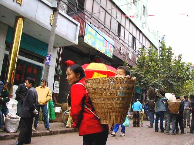 Baby in a basket