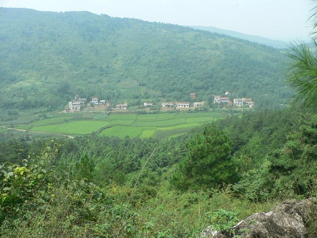 Row of houses and paddy fields west of confluence.