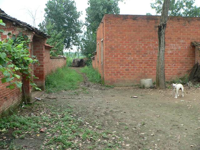 Trail runs through small village...