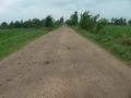 #2: Dirt road runs straight south towards confluence.