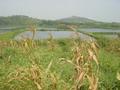 #3: Ponds seen from confluence