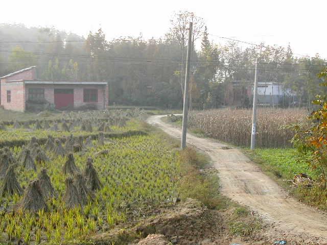 View of the approach about 250 meters from the confluence