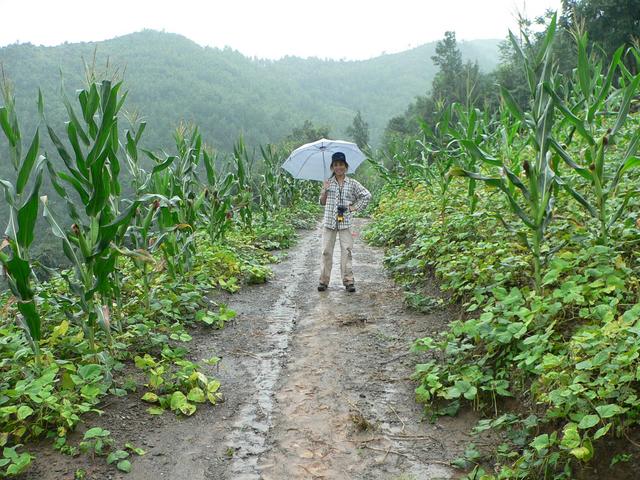 Plenty of paths to follow. Pity about the rain.