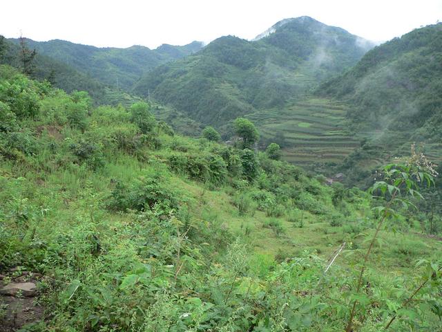 Hillside on which confluence is located, 170 m to the SW.