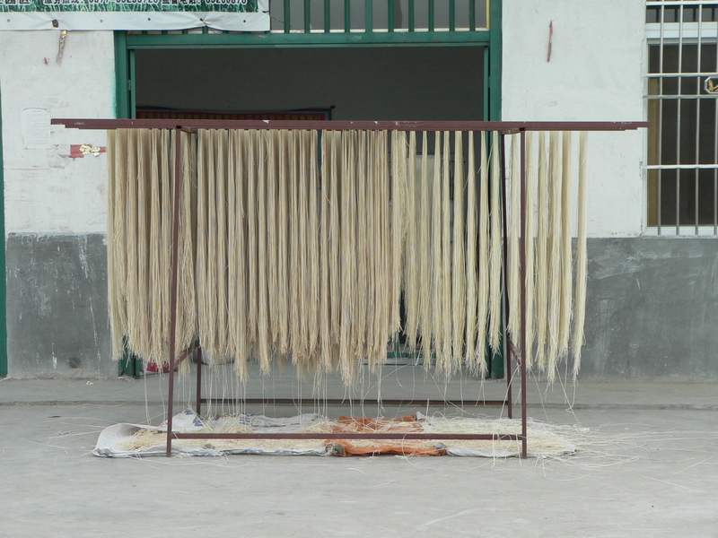 Noodles hanging out to dry