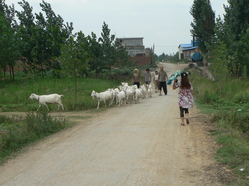 Ah Feng on the cement road to Kāngzhuāng Village