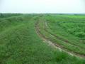 #3: Muddy track, looking east towards confluence.