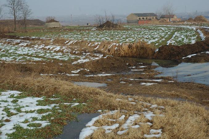 Nearest farm house from the Confluence Point ~ 350 meters