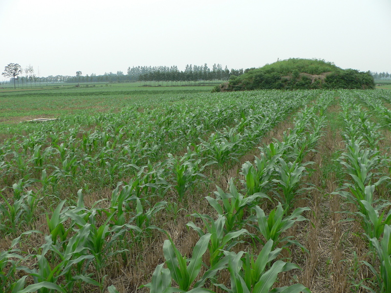 Looking north, towards the ancient burial mound