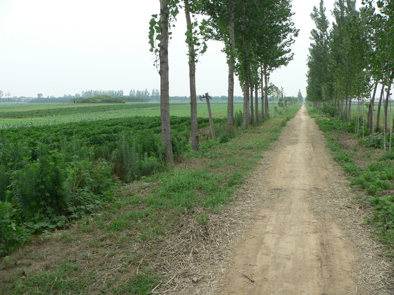 The dirt road, with the burial mound off to the left in the distance