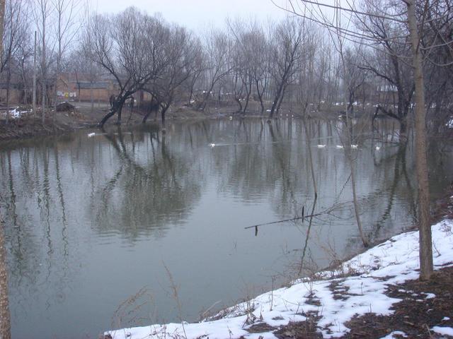 Confluence point located in the middle of the pond - about where the duck in the center