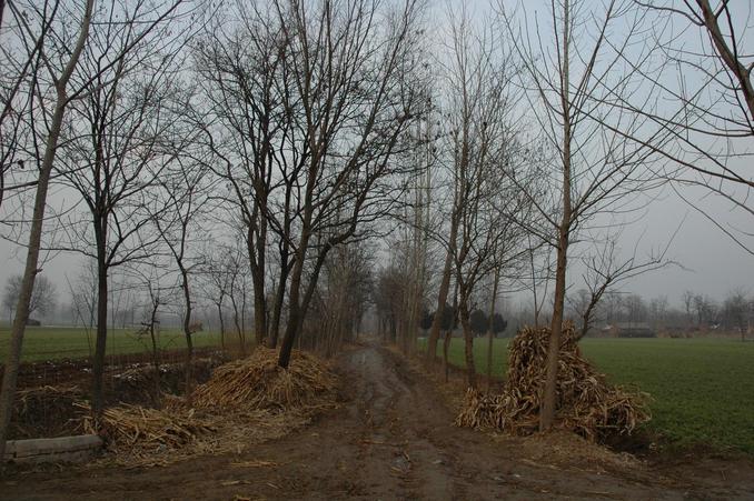 Very muddy road leading to the Confluence Village - 400 meters away