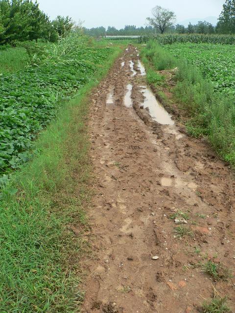 Muddy track.