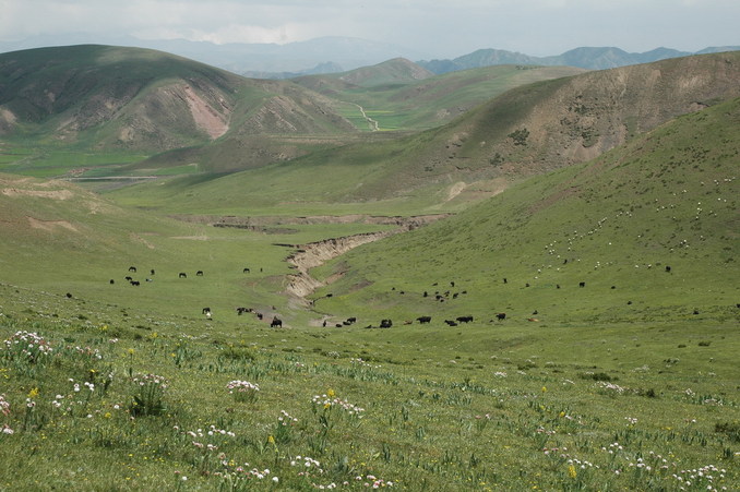 A view over the ridge- the valley we came up