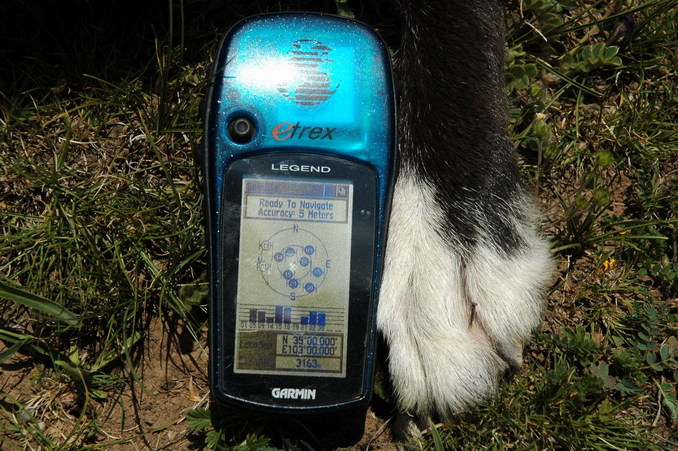 GPS held by Oreo