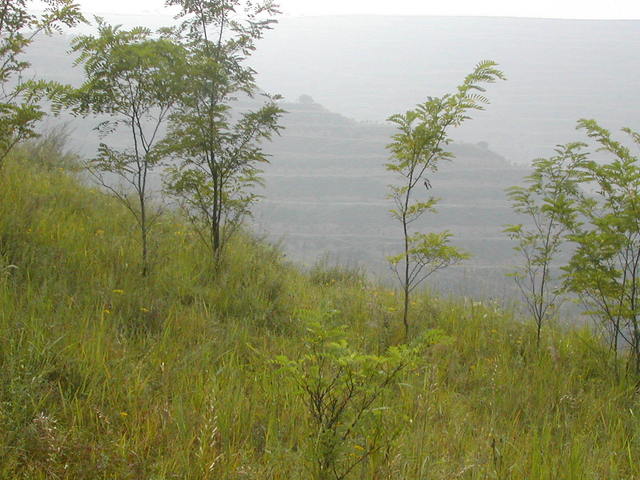 Photo looking west from the Confluence Point