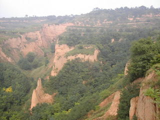 #1: Photo looking east from the Confluence Point