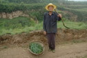 #8: An old timer working near the confluence point