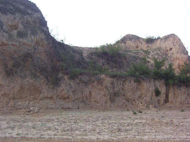 View north from the confluence