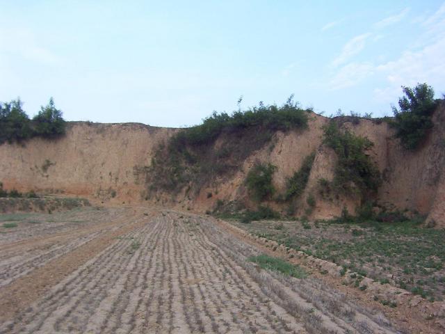 View east from the confluence