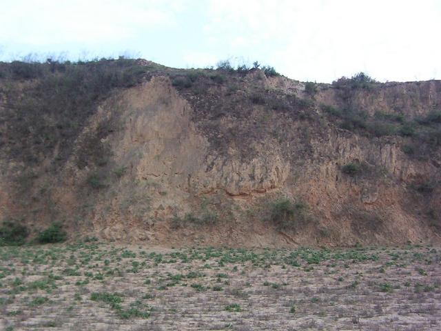 View south from the confluence