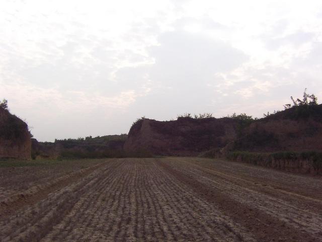 View west from the confluence