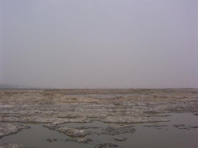 View east from the confluence