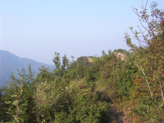 View at confluence (open space), 10 m from the west