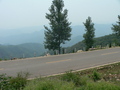 #9: Looking south from the other side of the confluence knoll