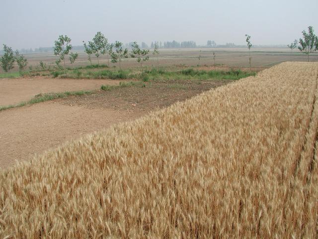 General view of the confluence point