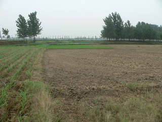 #1: Looking south, where a dirt road runs along the embankment