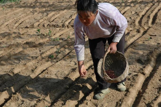 Planting peanuts near the confluence point