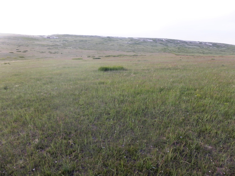 The Confluence from 20 m distance