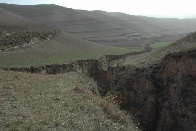 The deep gully which slowed down the hunt