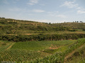 #3: Looking north from the confluence spot