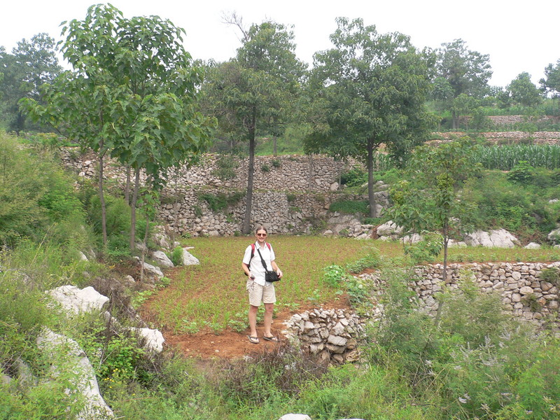 Targ on the terraced fields