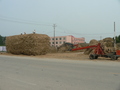 #3: Workers dwarfed by a huge haystack on the side of the road