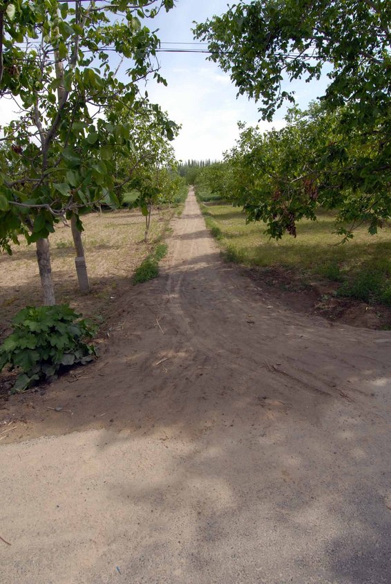 Path leads to the confluence, 60 meters ahead.