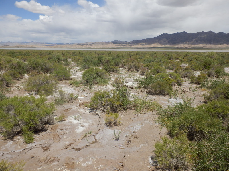 The Confluence from 20 m distance