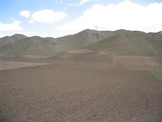 #1: View of the confluence point.  It is in the field on the hill.