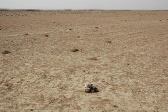 #1: General view - the stone pile marking the confluence point