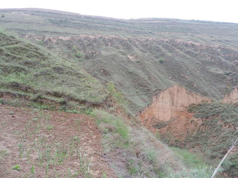 The Confluence from 10 m