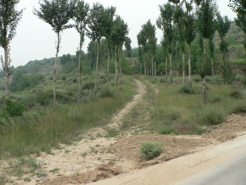 Other end of the same path to the confluence