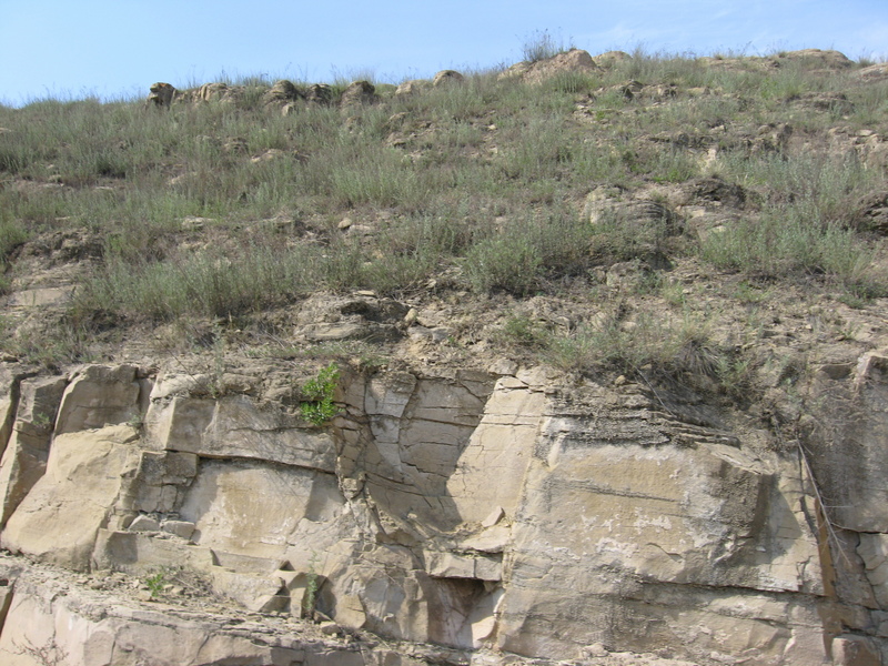 The confluence point is on this hill