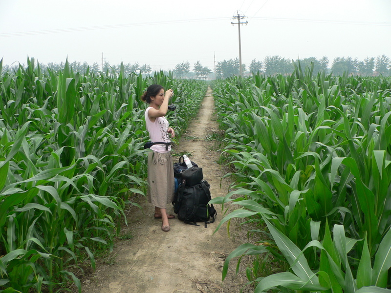 Ah Feng in the confluence cornfield