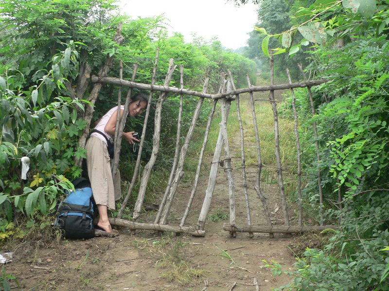 Squeezing through the locked gate of the apple orchard