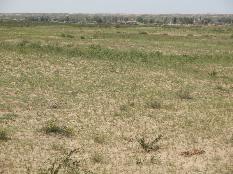 The Confluence from 20 m