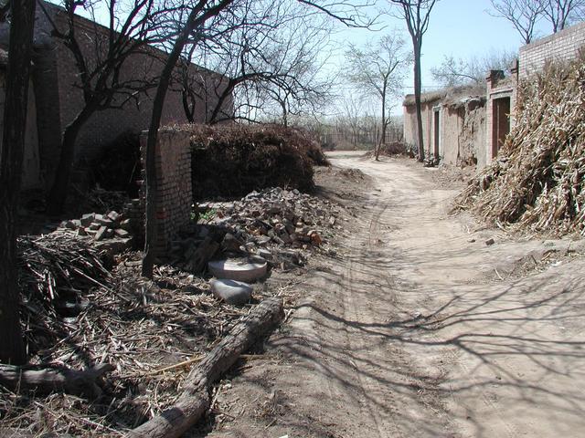 West view - toward an orchard