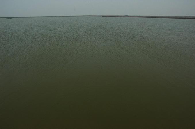 Confluence point located 30 meters away in the water - View toward West