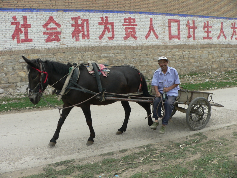 Donkey cart